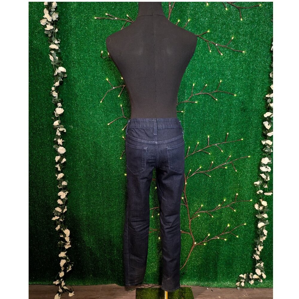 Isabel Maternity Side Panel Jegging, Size 2/26R, EUC! - Picture 3 of 5